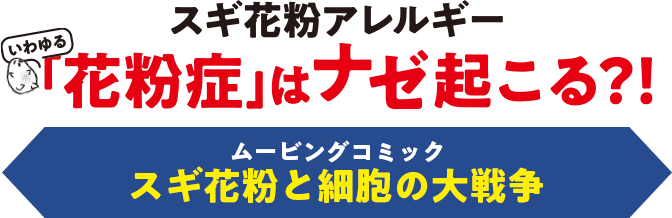 はたらく細胞でスギ花粉アレルギーのしくみを学ぼう Yakultbase ヤクルトベース