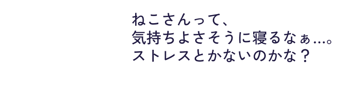 ねこさんって、​気持ちよさそうに寝るなぁ…。ストレスとかないのかな？​​