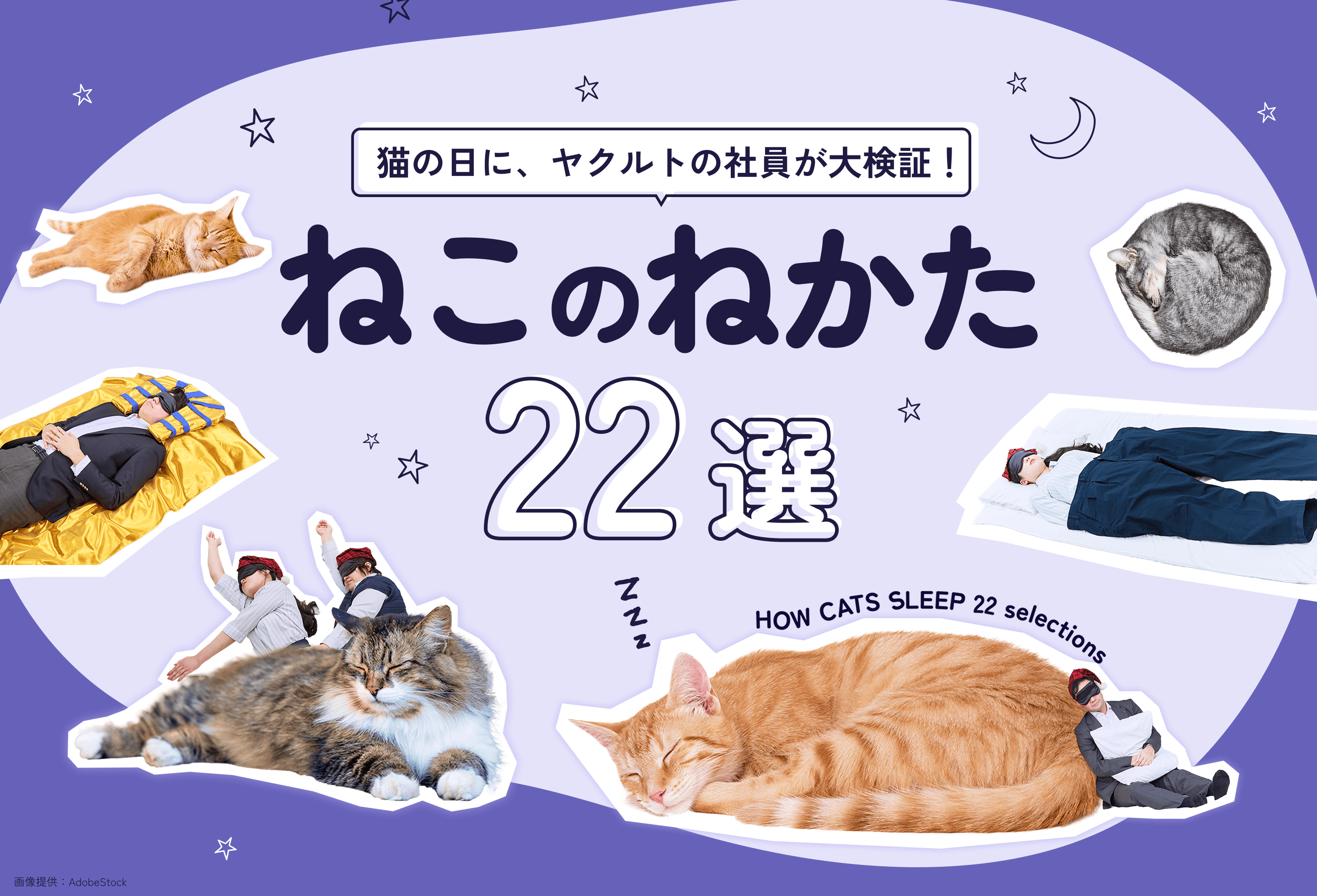 猫の日に、ヤクルトの社員が大検証！ねこのねかた22選