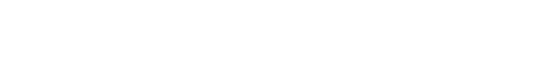 猫の日に、ヤクルトの社員が大検証！