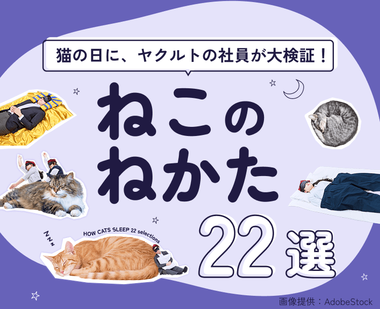 猫の日に、ヤクルトの社員が大検証！ねこのねかた22選