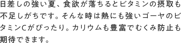 日差しの強い夏、食欲が落ちるとビタミンの摂取も不足しがちです。そんな時は熱にも強いゴーヤのビタミンCがぴったり。カリウムも豊富でむくみ防止も期待できます。