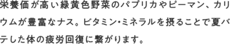 栄養価が高い緑黄色野菜のパプリカやピーマン、カリウムが豊富なナス。ビタミン・ミネラルを摂ることで夏バテした体の疲労回復に繋がります。