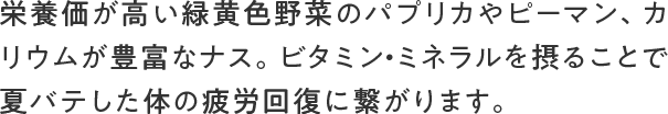 栄養価が高い緑黄色野菜のパプリカやピーマン、カリウムが豊富なナス。ビタミン・ミネラルを摂ることで夏バテした体の疲労回復に繋がります。